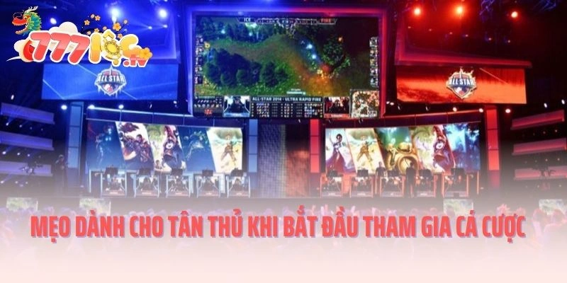 Mẹo dành cho tân thủ khi bắt đầu tham gia cá cược